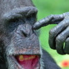 John Chawner thumbnail