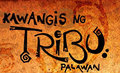 Kawangis ng Tribu image