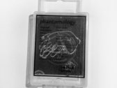 phantomology on microSD photo 