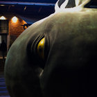 STEPHAN MATHIEU 『ON TAPE』 STEPHAN MATHIEU : On Tape - CD - HAPNA - Forced Exposure