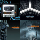 From the Art | Gavlyn | Broken Complex