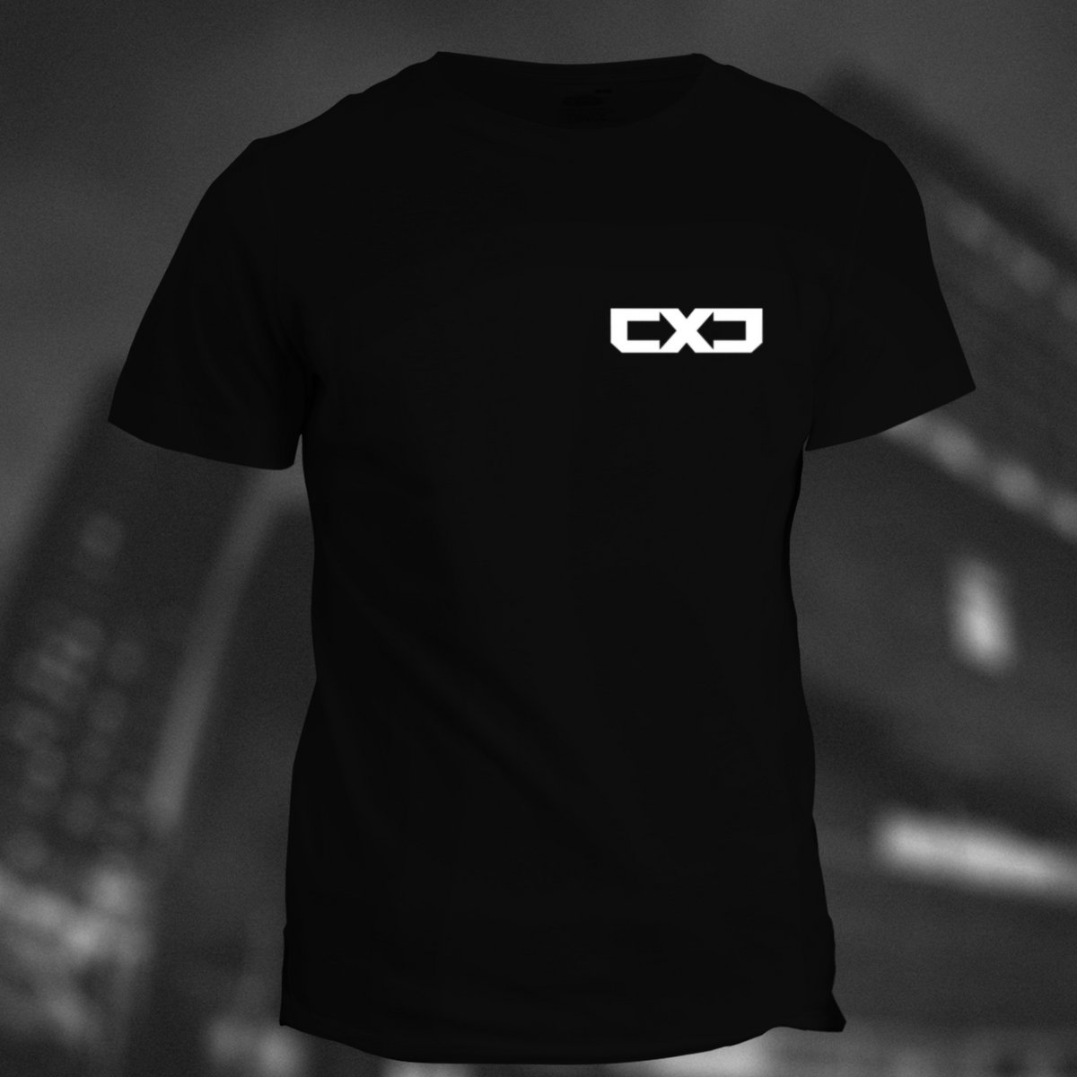 ★AEAE★ WEB LOGO TSHIRTS [BLACK] AE Boxy Destination Graphic T-Shirt