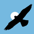 bluefalcon04 thumbnail