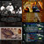 musiclover50 thumbnail