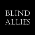 Blind Allies image