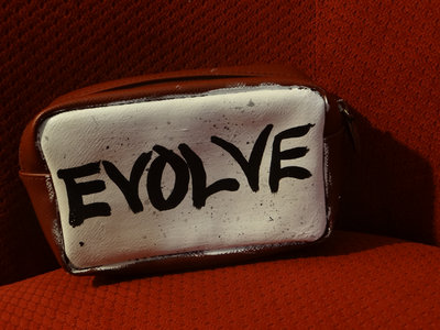 Hand Painted "Evolve" Makeup Bag main photo
