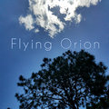 Flying Orion image