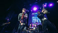 Dingleberry Dynasty — Photo