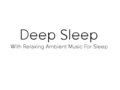 Deep Sleep Records image