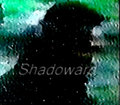 Shadoward image