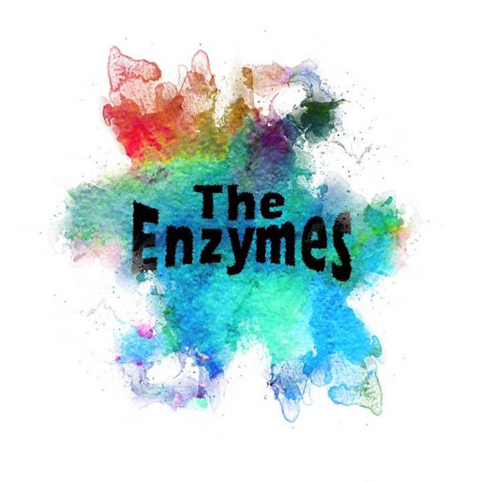 The Enzymes cover