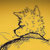 Bandcamp profile picture for @physical