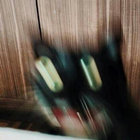 quickly_confused thumbnail