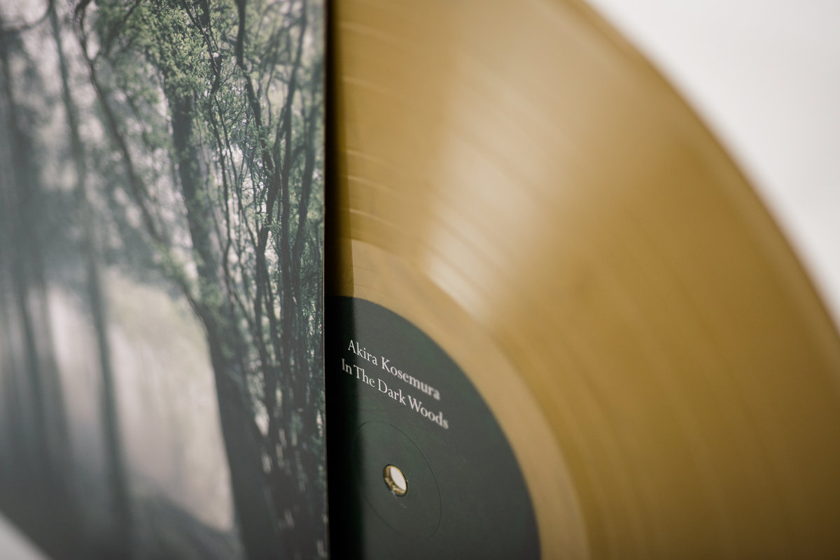 AKIRA KOSEMURA In The Dark Woods レコード LP In The Dark Woods | Akira Kosemura
