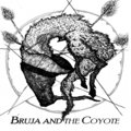 Bruja and the Coyote image
