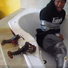 ------- thumbnail
