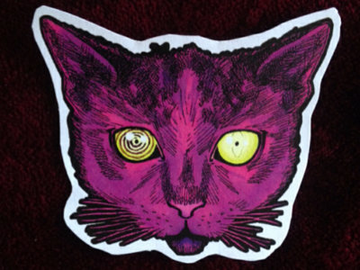 Cosmic Kitten Mascot Head main photo
