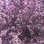 Derm thumbnail