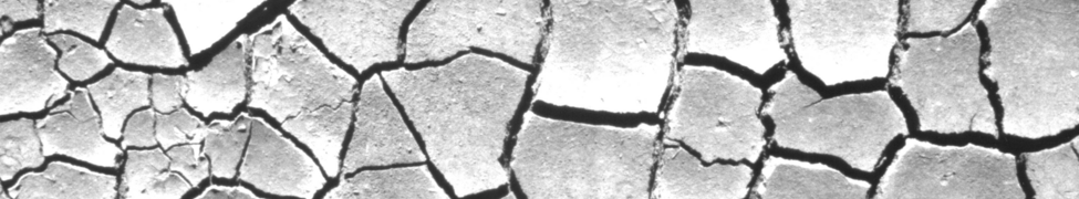 crack — Photo