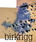 Birkrigg image