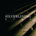 Silverlining image