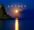 Anthex image