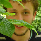 joehaennees thumbnail