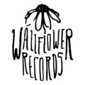 Wallflower Records image