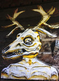 Deer Skull image