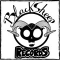 BlackSheep Records image