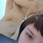 glume thumbnail