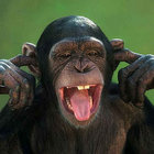 parcelmonkey thumbnail