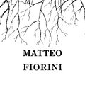 Matteo Fiorini image