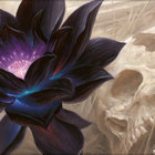 DarkDobe thumbnail