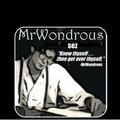 MrWondrous image