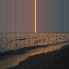 theantnest thumbnail