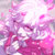 Bandcamp profile picture for @manslaughter