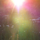 raisedbytrees thumbnail