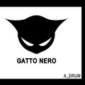 Gatto Nero image