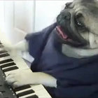 fonkaholic thumbnail