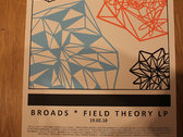 Limited edition Field Theory poster - A2 size (not framed) photo 