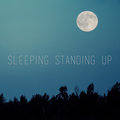 Sleeping Standing Up image