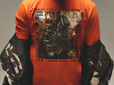 WTDW  T-Shirt (Orange) main photo