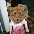 child lion image