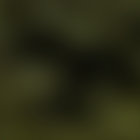 muz thumbnail