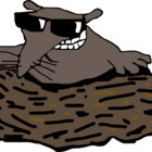 TAUPE 50 thumbnail
