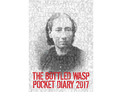 Bottled Wasp Pocket Diary 2017 - Rebel Women edition main photo