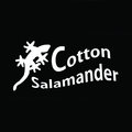 Cotton Salamander image