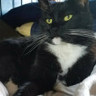 yaycats926 thumbnail