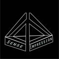 Sense Impression image